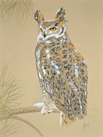 Great Horned Owl by Patricia Sundgren Smith