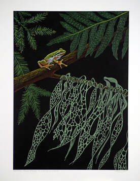 Pacific Tree Frog by Patricia Sundgren Smith